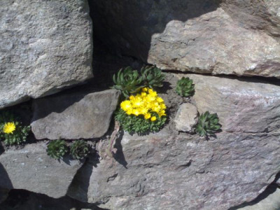K640_28042010098.JPG