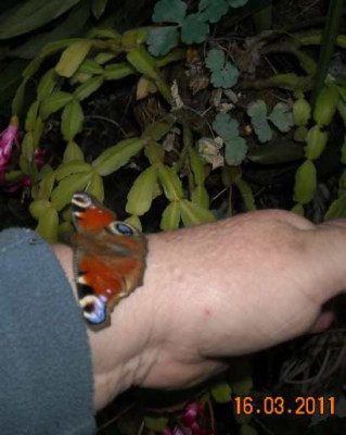 DSCN4128.jpg