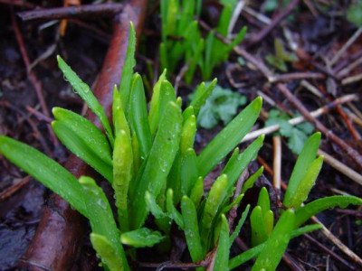 K640_DSC01157.JPG