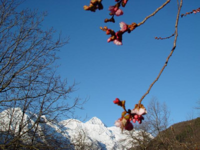 K640_DSC01185.JPG