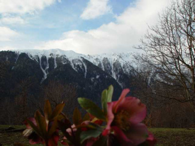 K640_DSC01212.JPG