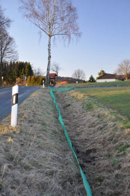 Krotenzaun2011.jpg