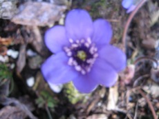 GARTEN_060.jpg