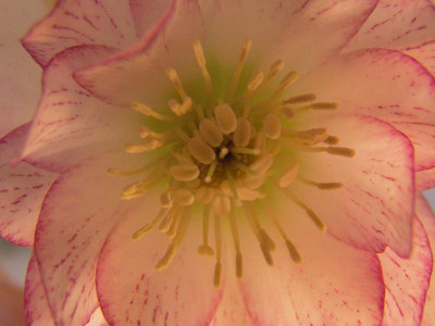 Ashwood_008-kl.jpg