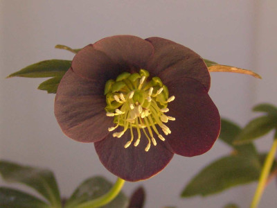 Ashwood_016-kl.jpg