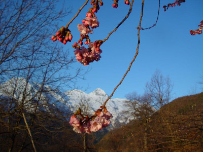K800_DSC01357.JPG