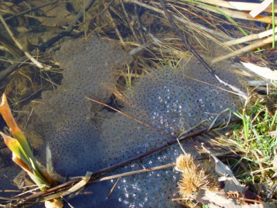 K640_DSC01360.JPG