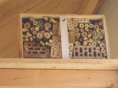 insektenhausmontiert.jpg