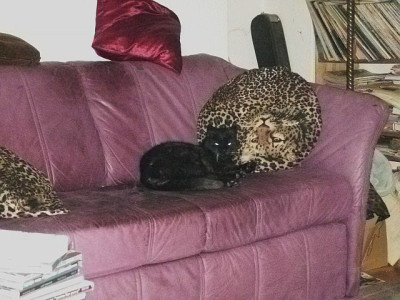 marie_sofa.jpg