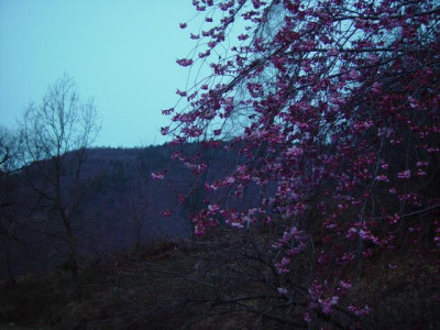 K640_DSC01407.JPG