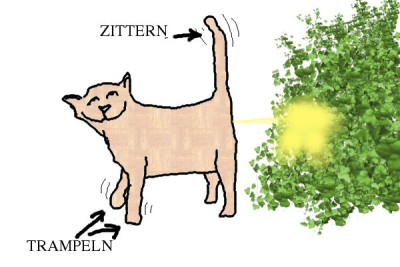 Katerfreuden.jpg