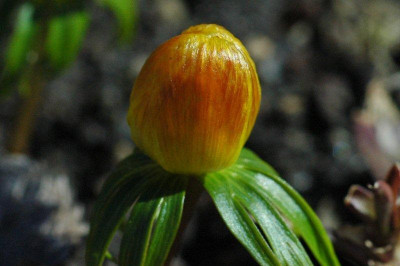 26_._03_._2011_022.jpg