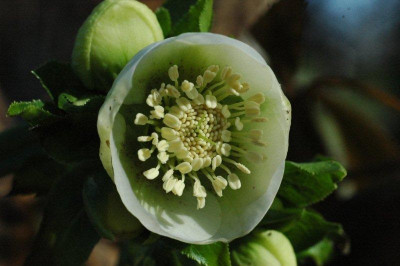 26_._03_._2011_032.jpg