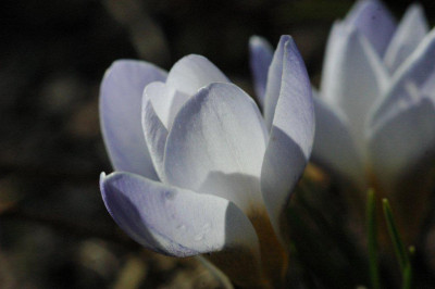 26_._03_._2011_039.jpg
