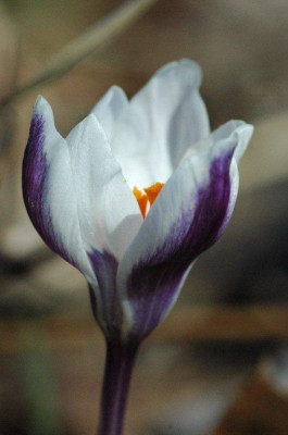 26_._03_._2011_043.jpg