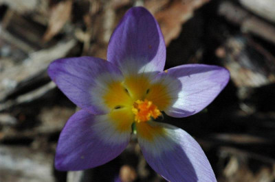 26_._03_._2011_046.jpg