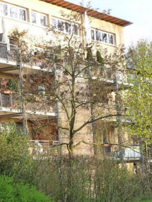 P_Vauban2.jpg