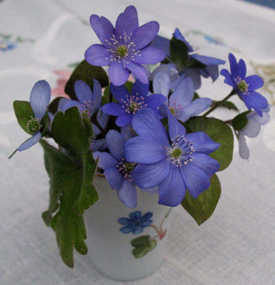 26.3.11._003.jpg