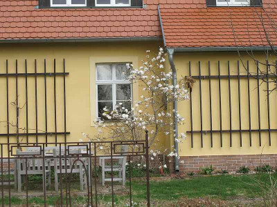 Kuchenfenster_ue.jpg