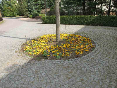 Parkplatz_April_11_ue.jpg