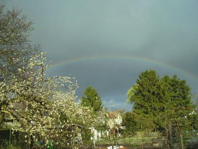 ersterRegenbogen.jpg