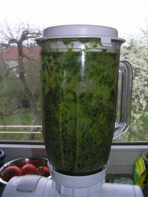 2baerlauch2011.jpg