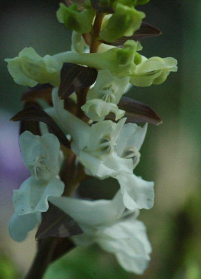 04._04_._2011_091.jpg