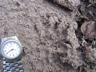 Spuren_MGP_110404.jpg
