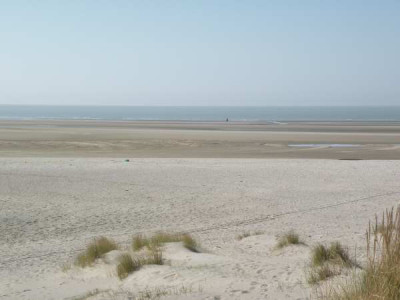 Zeebrugge_28.03.JPG
