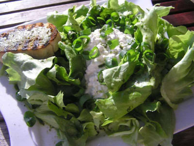 1essen060411.jpg