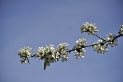 comp_k-07.April.2011_051.jpg
