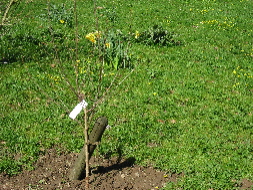 IMG_07141.JPG
