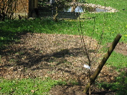 IMG_07151.JPG