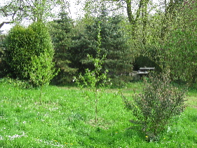 IMG_03521.JPG