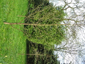 IMG_07231.JPG