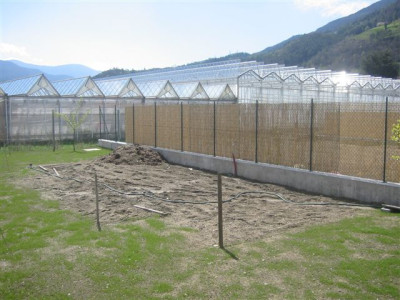 gemuesebeet-230940.jpg