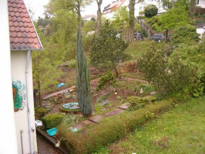 vorgarten_von_oben.jpg