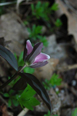 08._04._2011_003.jpg