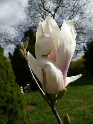 tg_110409_4.jpg