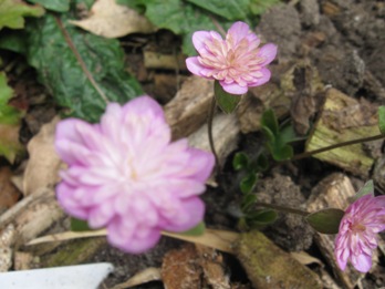 GARTEN_089.jpg