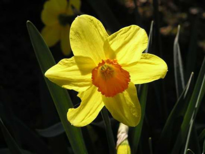 110408_01a.jpg