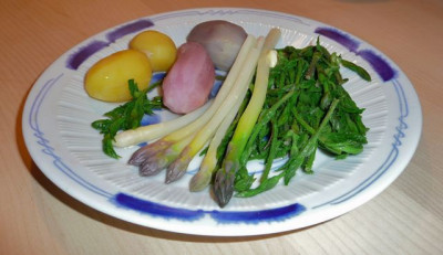 kuche_110410.jpg