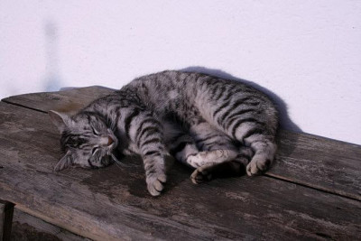 April0811.jpg