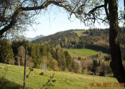 DSCN4355_mistelberg.jpg