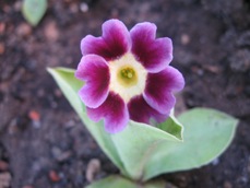 GARTEN_105.jpg