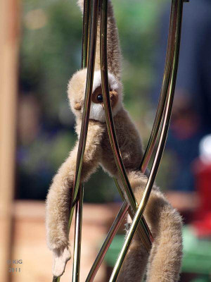 blumbergs_affe2.jpg