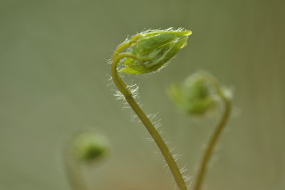 comp__DSC0039.jpg