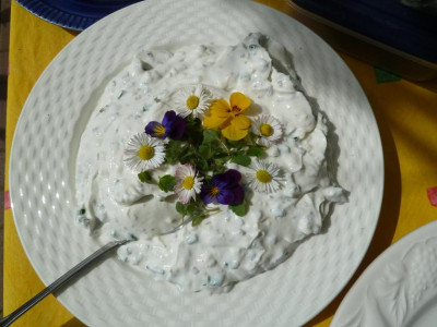 scherben_094.jpg