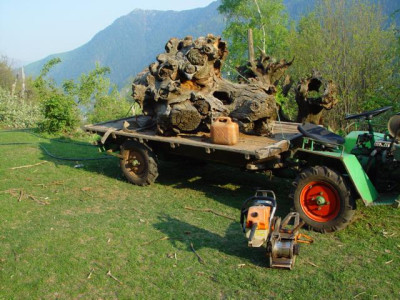 K640_DSC01575.JPG