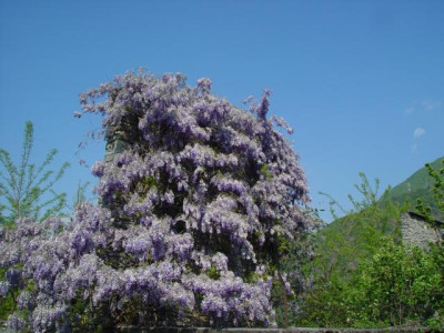 K640_DSC01556.JPG